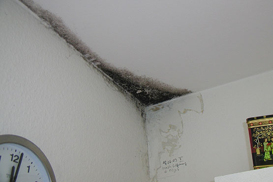 Schimmel Bildung durch Wärmebrücken